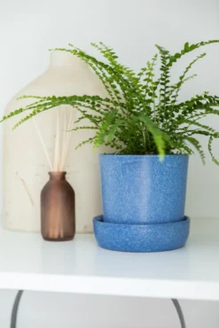 Woe, What A Night Pot