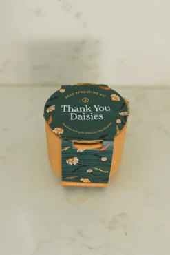 Tiny Terracotta Thank You Daisies Kit