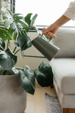 Preston Watering Can