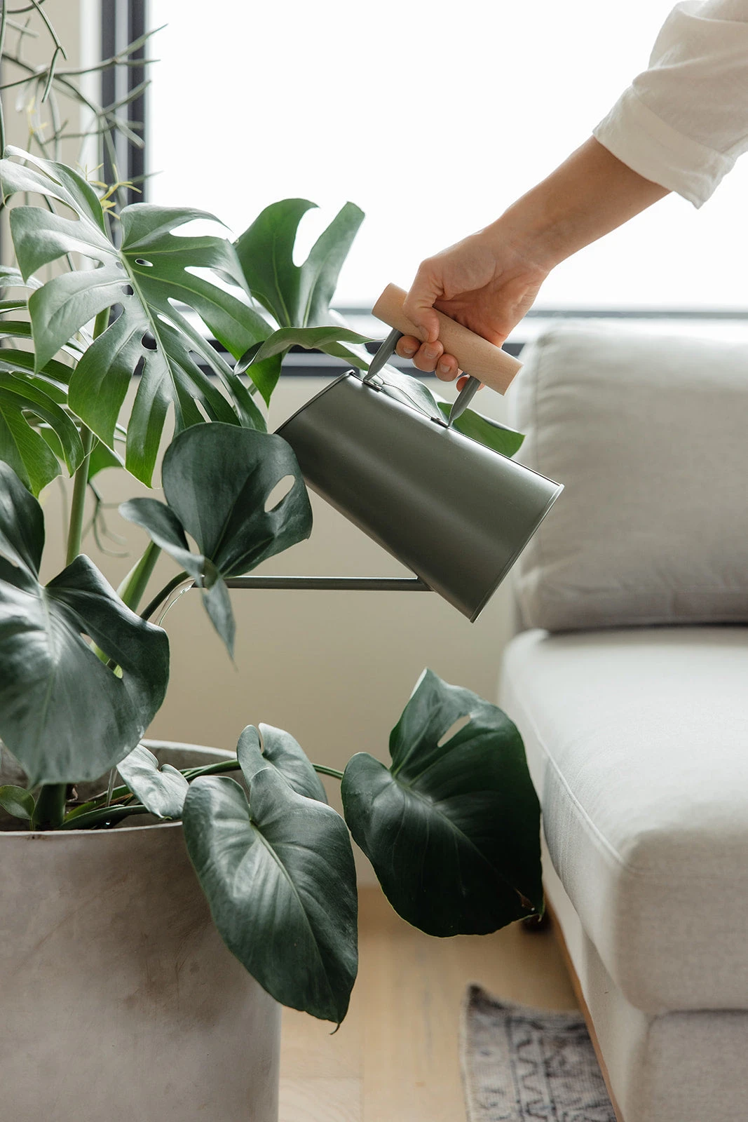 Preston Watering Can - Image 2