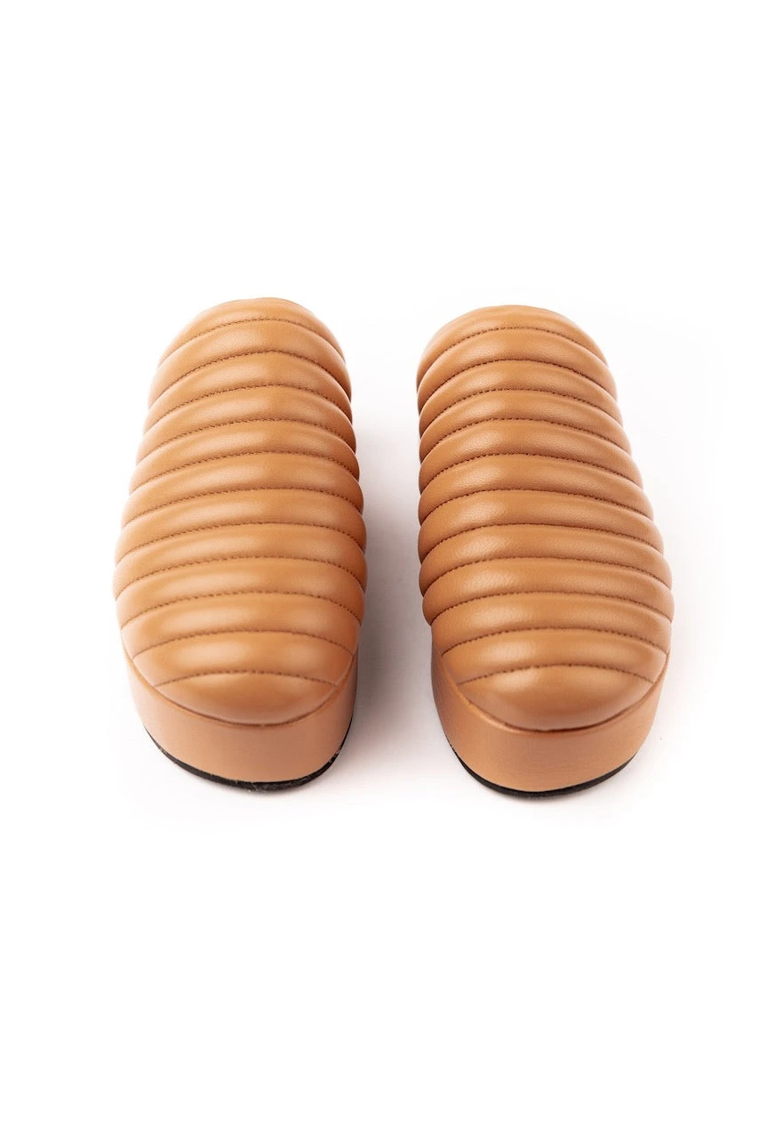 The Pheme Platform Mule - Image 10