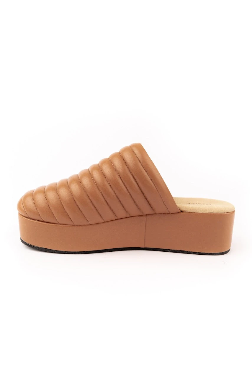 The Pheme Platform Mule - Image 6