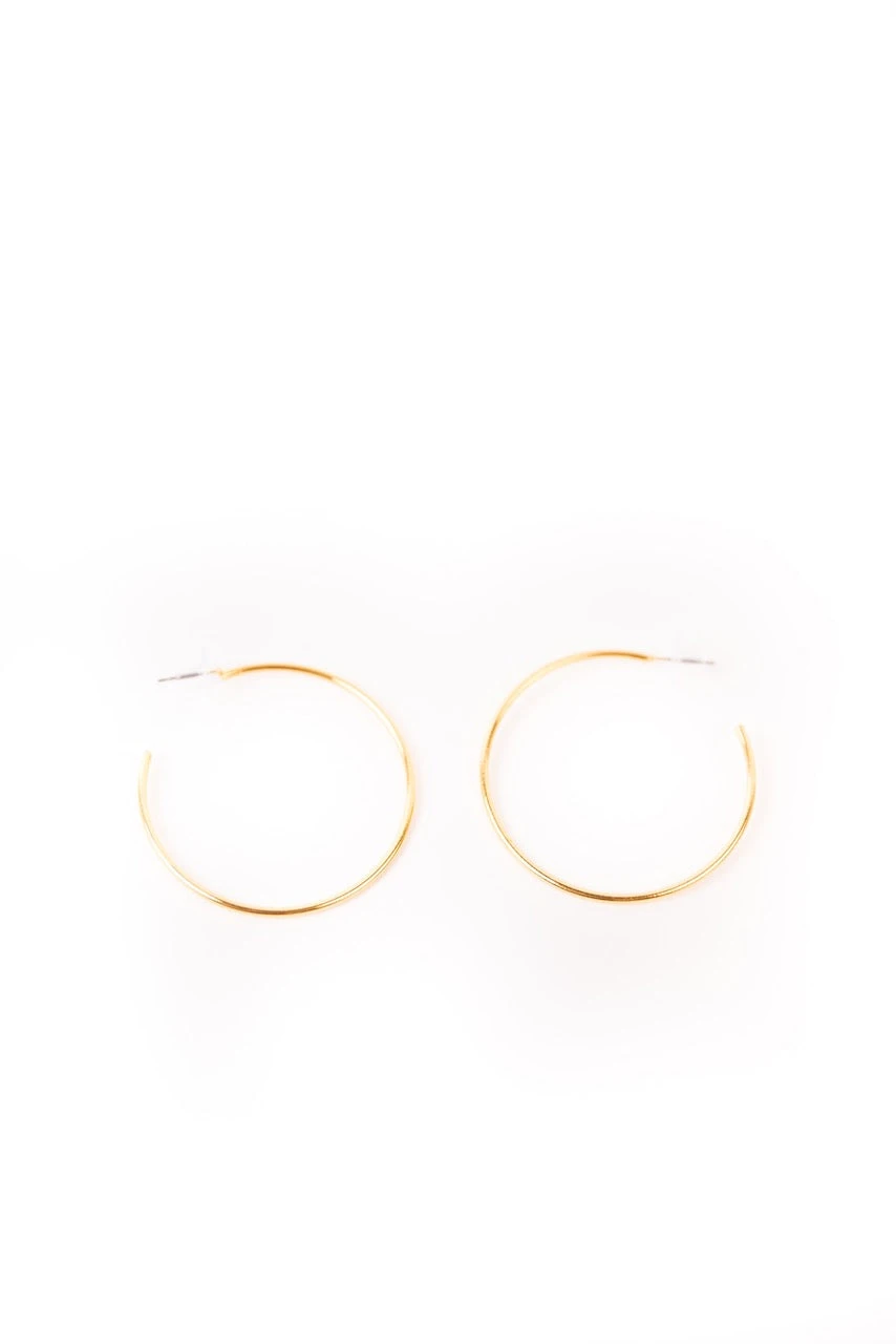 ROOLEE Delia Hoops - Image 4